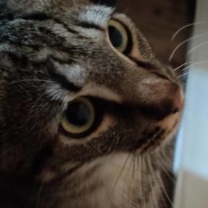 Meet your Posher, Jackie